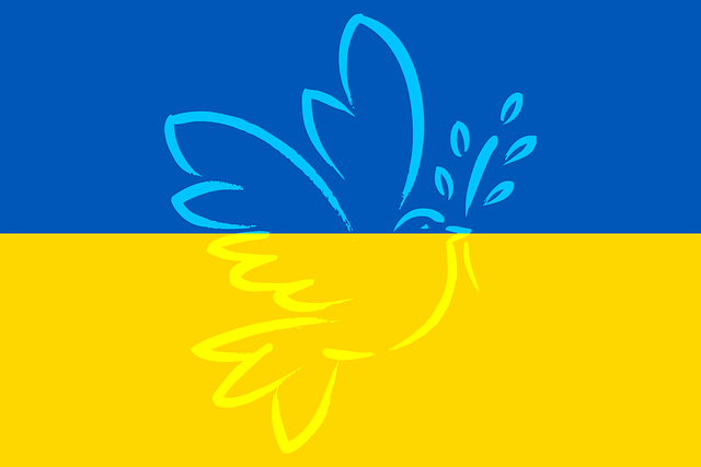 Pixabay License Freie kommerzielle Nutzung Kein Bildnachweis nötig https://pixabay.com/de/vectors/ukraine-flagge-frieden-taube-krieg-7043528/